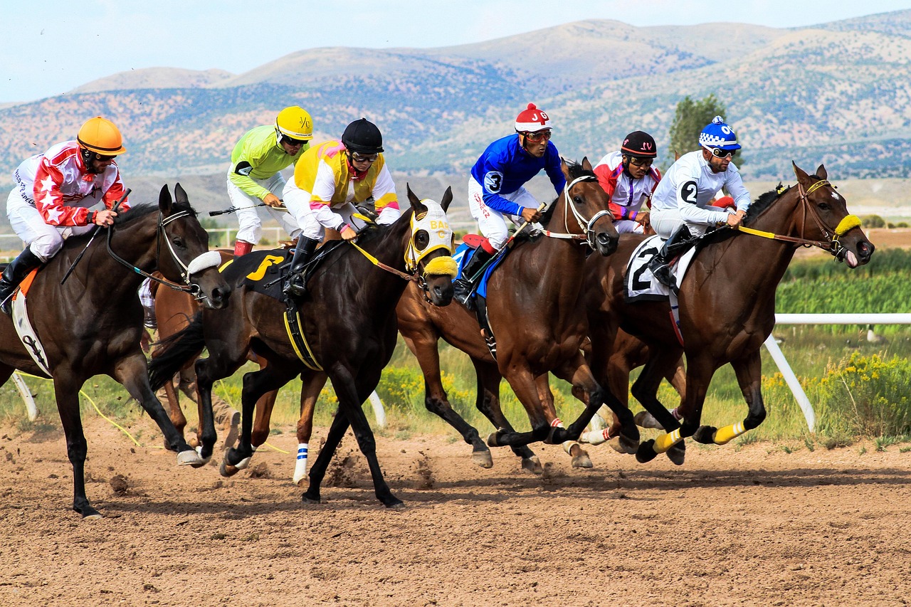 Betting Strategies for Beginners: Tips to Master Horse Racing Wagers