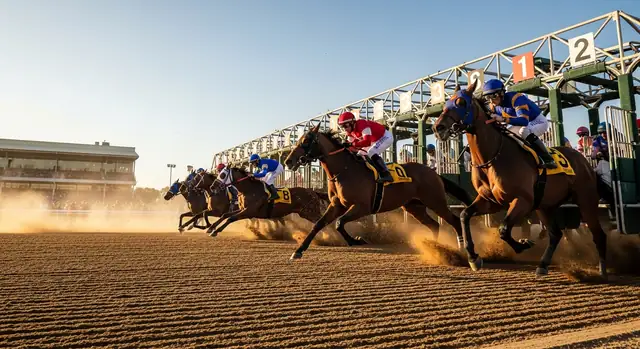 The River Grey 2/5 Heads AI Selections as Brighton Hosts Key Race Day